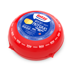 ILOLAY QUESO PATEGRAS X 250 GR